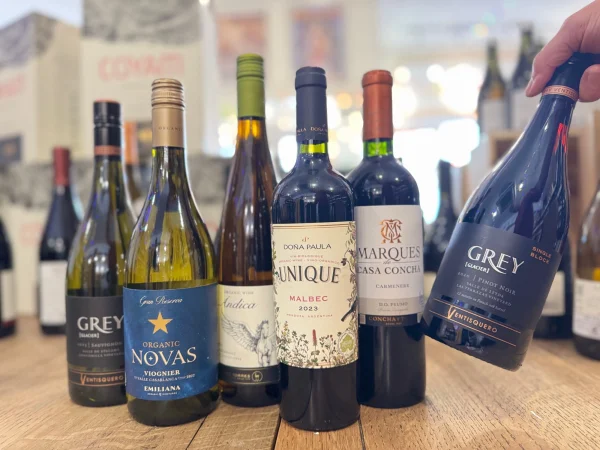 A Taste of South American Wines Case