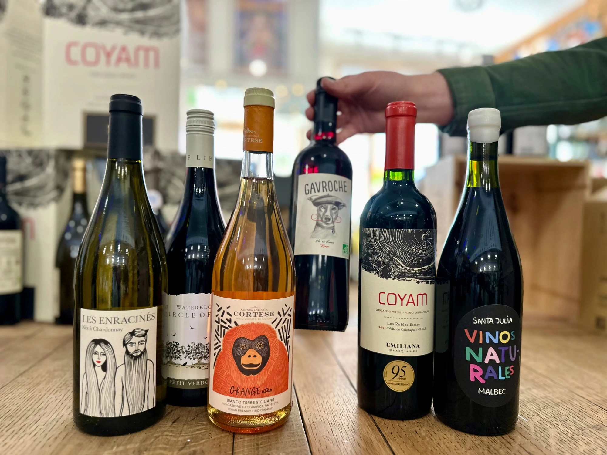 Natural & Orange Discovery Mixed Case of 6 Wines