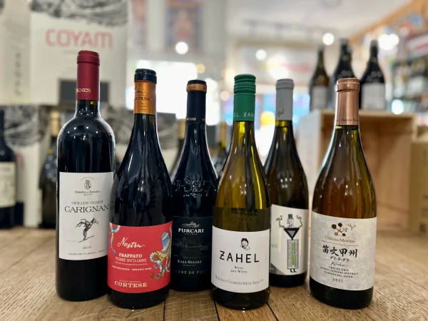 Try Something New Mixed Case of 6 Wines